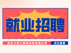 【就業招聘】武漢大武士網絡科技有限公司·武漢新華就業招聘信息